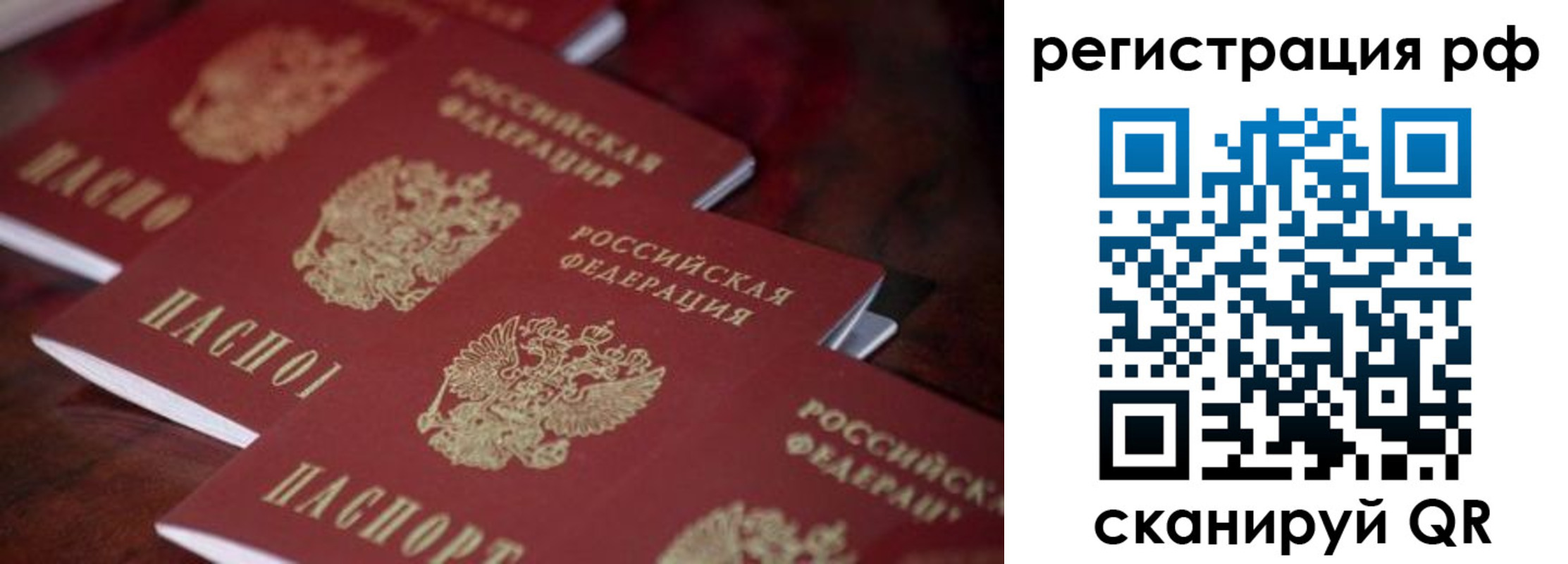 прописка поиск в Тамбове